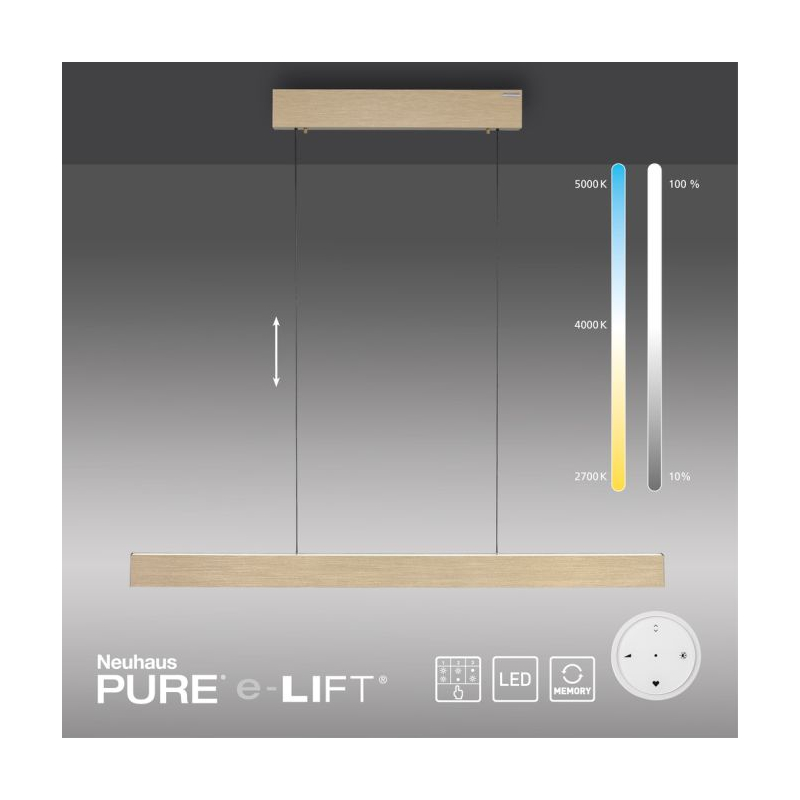 Lampa wisząca PURE E-MOT 2570-60