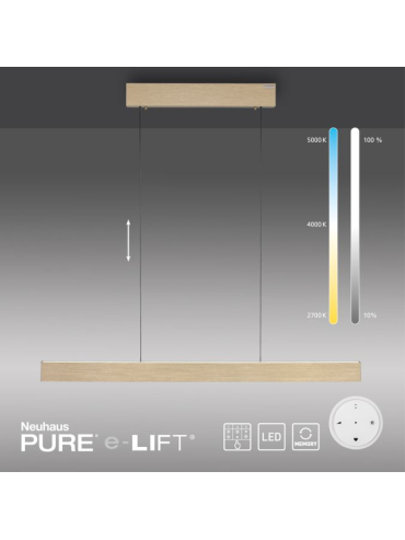 Lampa wisząca PURE E-MOT 2570-60