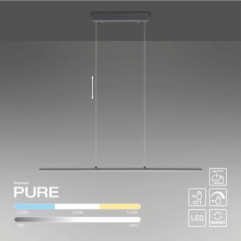 Lampa wisząca PURE-LITE 8375-13
