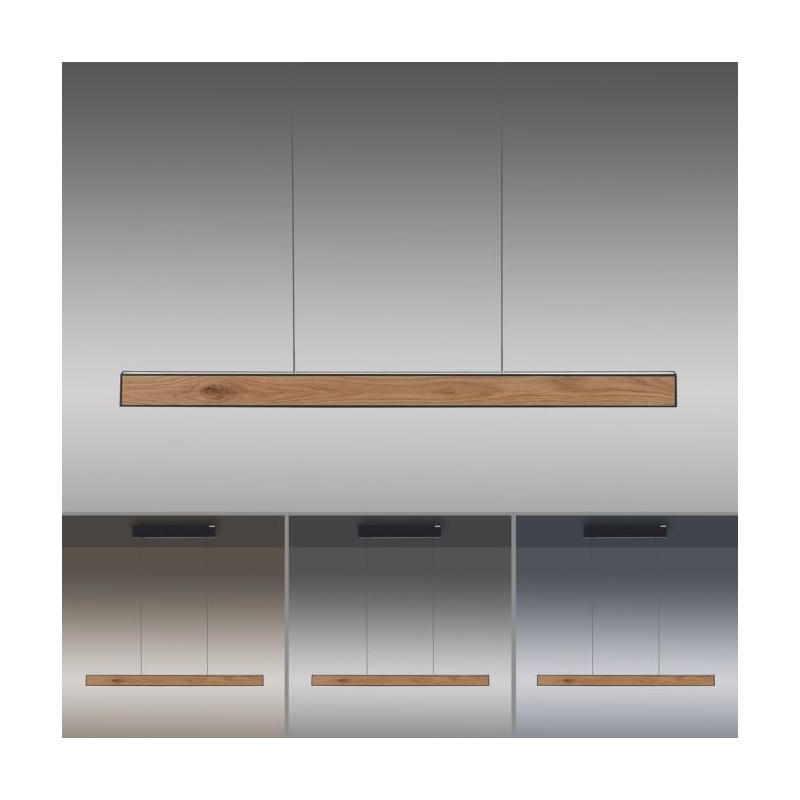 Lampa wisząca PURE E-MOT 2570-79