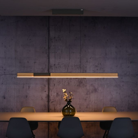 Lampa wisząca PURE MOTO-RISE 2545-79