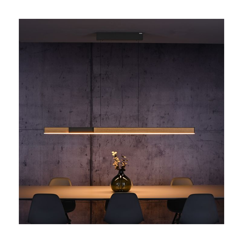 Lampa wisząca PURE MOTO-RISE 2545-79
