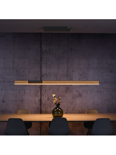 Lampa wisząca PURE MOTO-RISE 2545-79