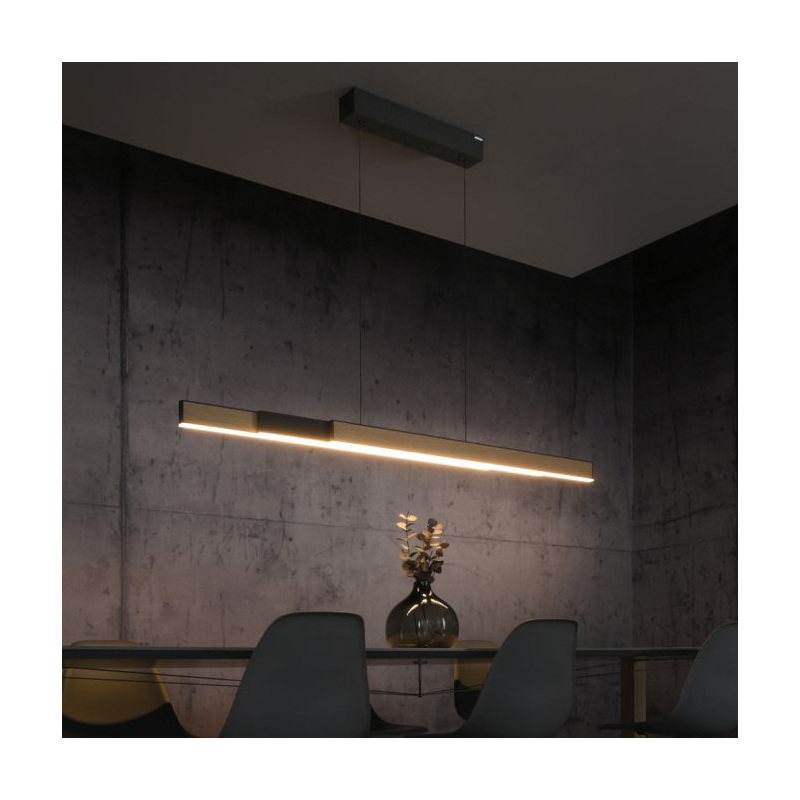Lampa wisząca PURE MOTO-RISE 2545-79