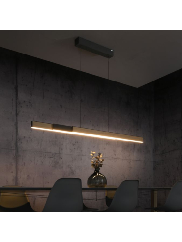 Lampa wisząca PURE MOTO-RISE 2545-79