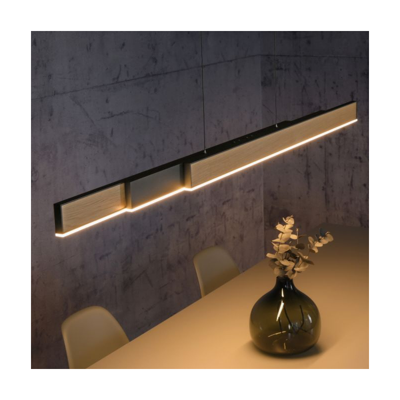 Lampa wisząca PURE MOTO-RISE 2545-79