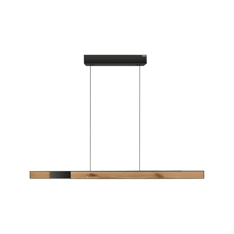 Lampa wisząca PURE MOTO-RISE 2545-79