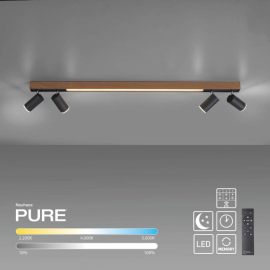 Lampa sufitowa PURE-LINES 6121-79