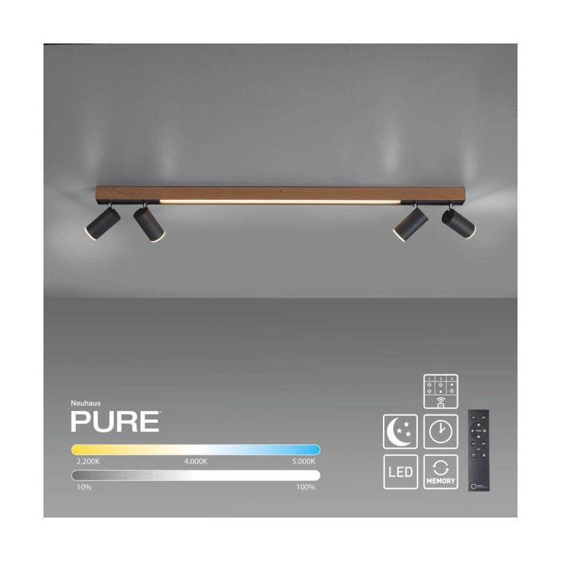 Lampa sufitowa PURE-LINES 6121-79