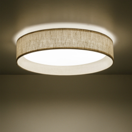 Lampa sufitowa DEMI LEN 11856