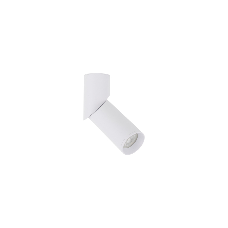 Lampa sufitowa ELARIS WHITE 11252