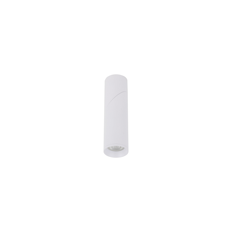 Lampa sufitowa ELARIS WHITE 11252