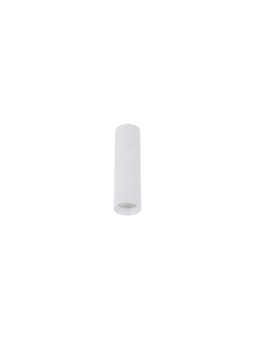 Lampa sufitowa ELARIS WHITE 11252