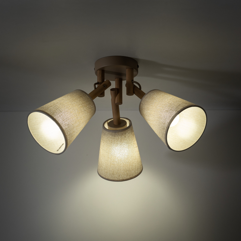 Lampa sufitowa VAIO SABIA 11605