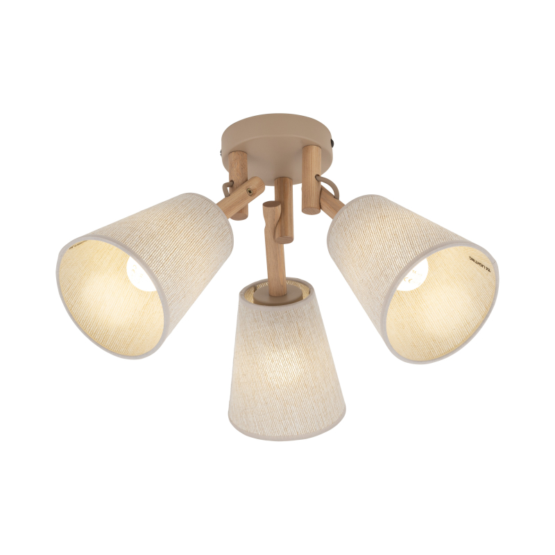 Lampa sufitowa VAIO SABIA 11605
