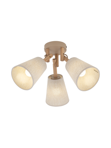 Lampa sufitowa VAIO SABIA 11605