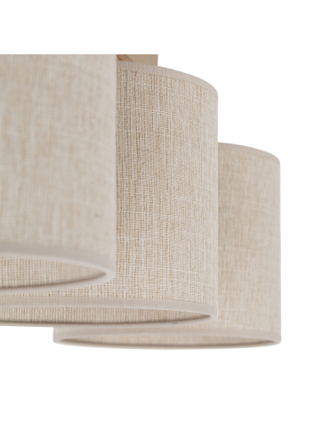Lampa sufitowa VIGA SHADE 11880