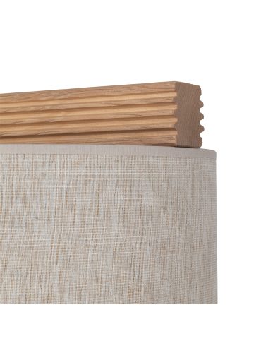 Lampa sufitowa VIGA SHADE 11881