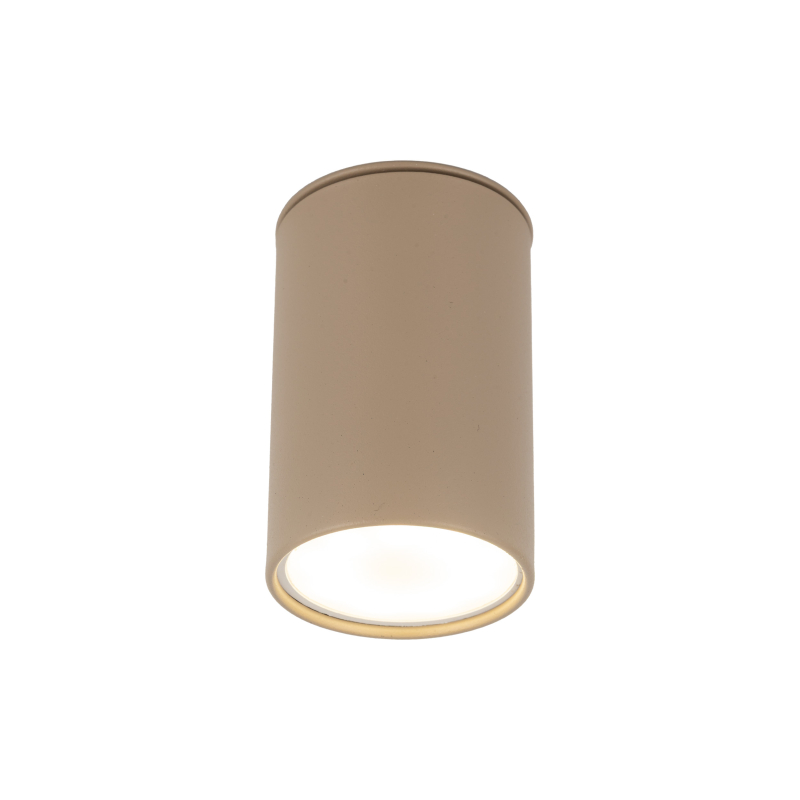 Lampa sufitowa TOP  11338