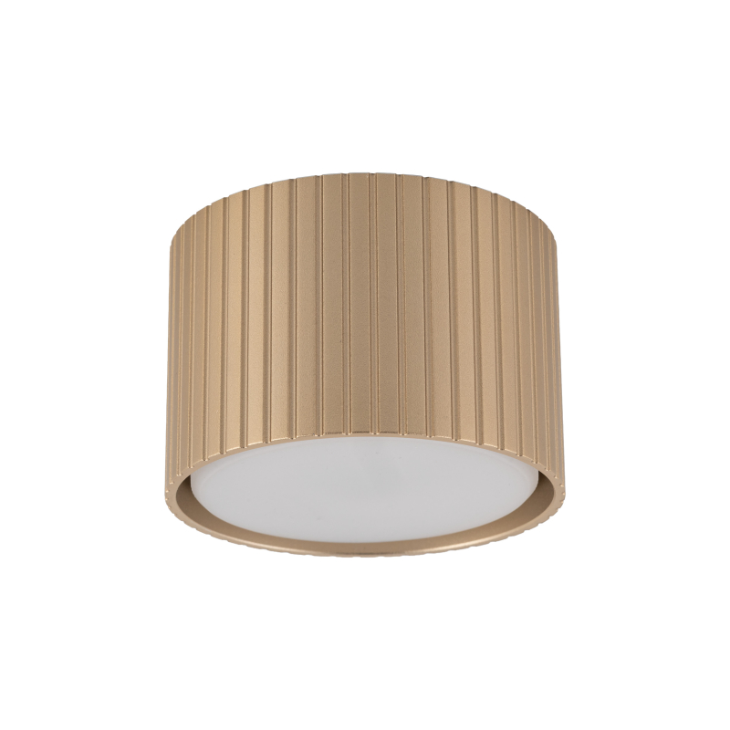Lampa sufitowa FERRO  11657
