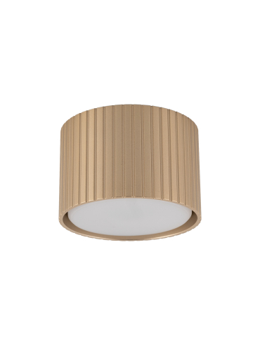 Lampa sufitowa FERRO  11657