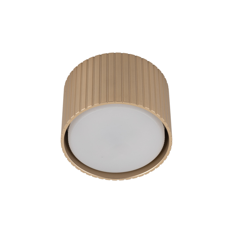 Lampa sufitowa FERRO  11657