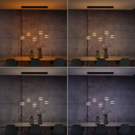 Lampa wisząca PURE FALLING RINGS LED CCT PILOT 2504-18