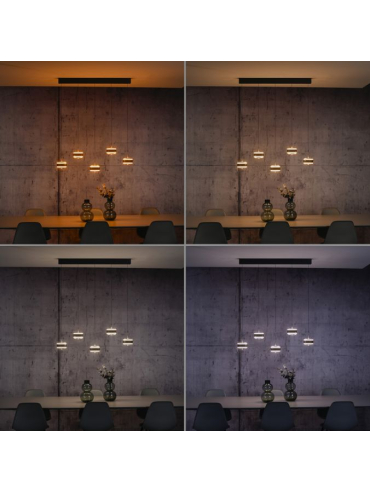 Lampa wisząca PURE FALLING RINGS LED CCT PILOT 2504-18