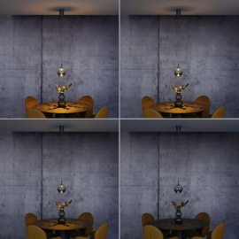 Lampa wisząca INFINITY SINGLE DALI CCT PILOT 2220-15
