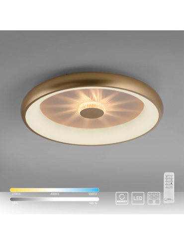 Lampa sufitowa VERTIGO LED CCT PILOT 14386-60