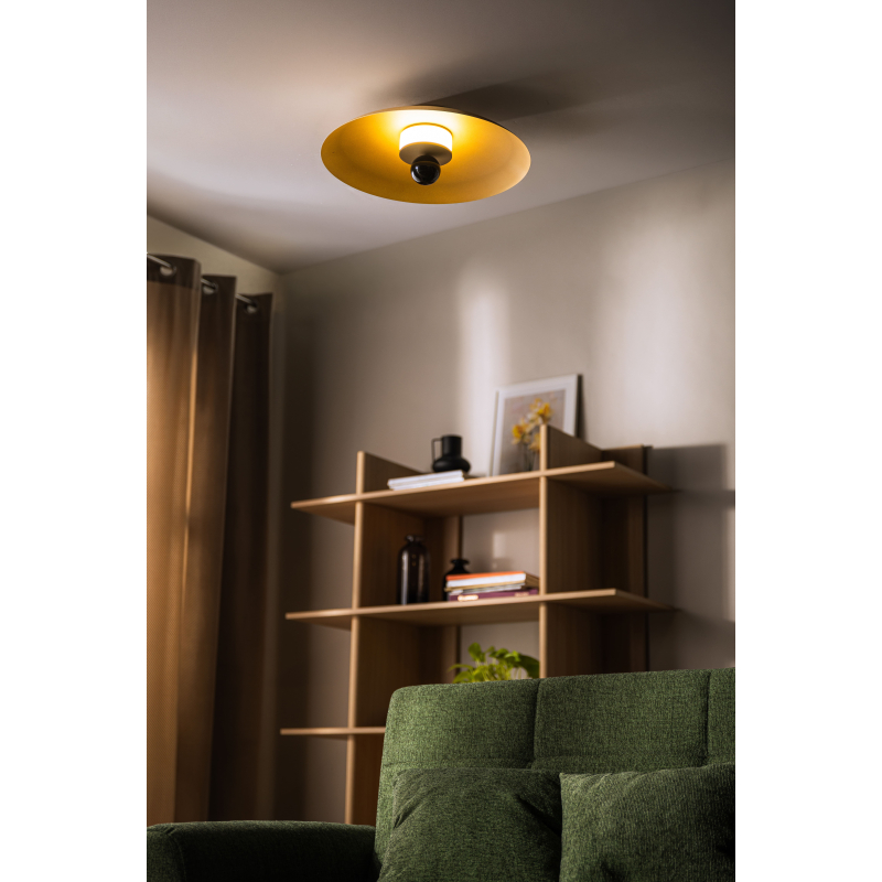 Lampa sufitowa/Kinkiet LILY 12601