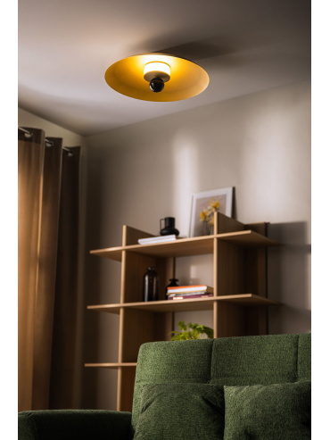 Lampa sufitowa/Kinkiet LILY 12601