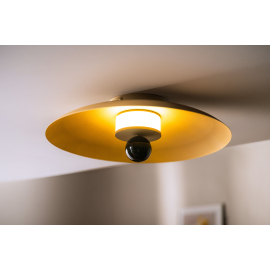 Lampa sufitowa/Kinkiet LILY 12601