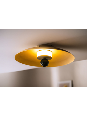 Lampa sufitowa/Kinkiet LILY 12601