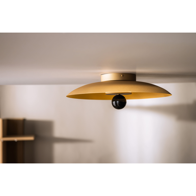 Lampa sufitowa/Kinkiet LILY 12601
