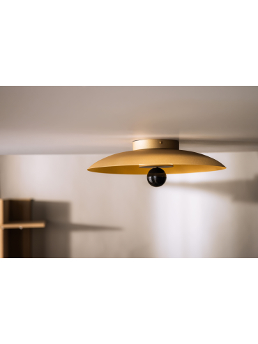 Lampa sufitowa/Kinkiet LILY 12601