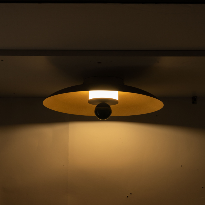 Lampa sufitowa/Kinkiet LILY 12601