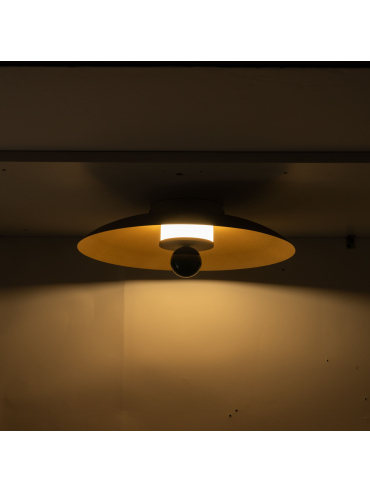 Lampa sufitowa/Kinkiet LILY 12601