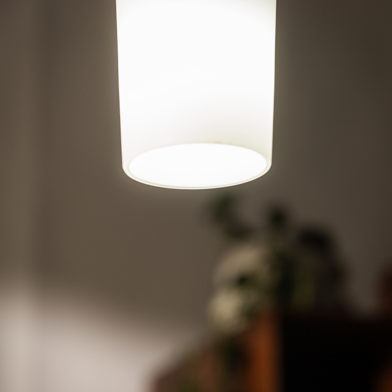 Lampa wisząca LOTUS 12103