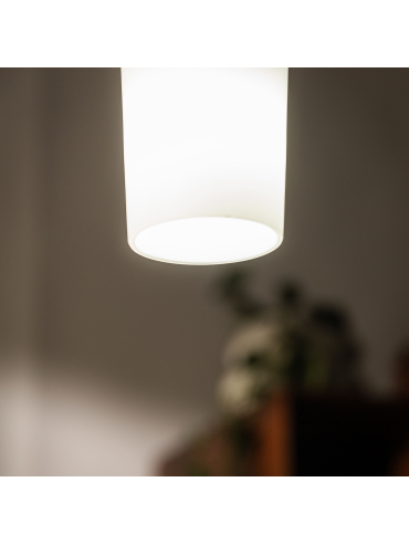 Lampa wisząca LOTUS 12103