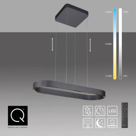 Lampa wisząca Q-STRETTO LED CCT PILOT 2688-18