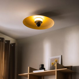 Lampa sufitowa/Kinkiet LILY 12601