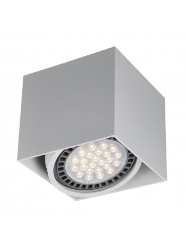 Spot BOX 1 WH ACGU10-114