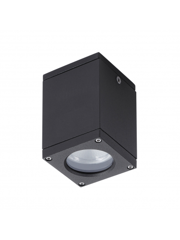 Lampa elewacyjna CUB 555E-G21X1A-04