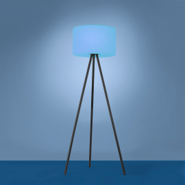 Lampa podłogowa HOLLY 19827-18