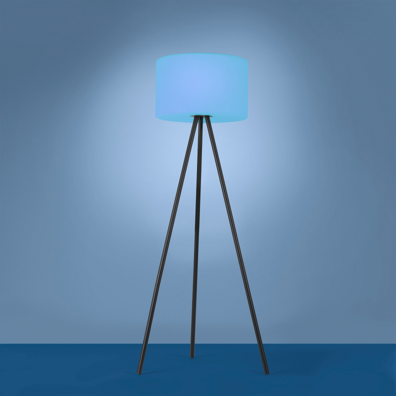 Lampa podłogowa HOLLY 19827-18