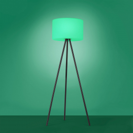 Lampa podłogowa HOLLY 19827-18