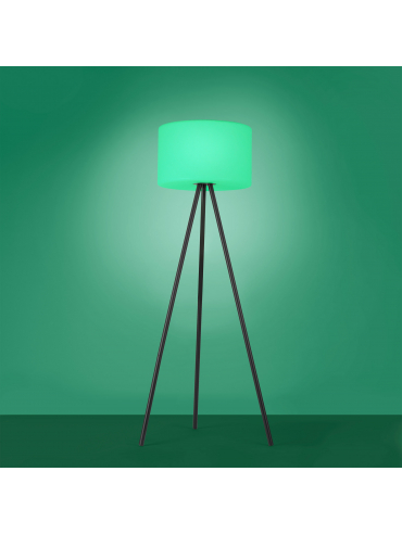 Lampa podłogowa HOLLY 19827-18