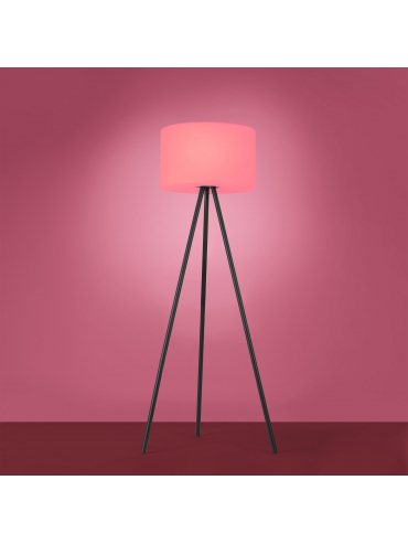 Lampa podłogowa HOLLY 19827-18