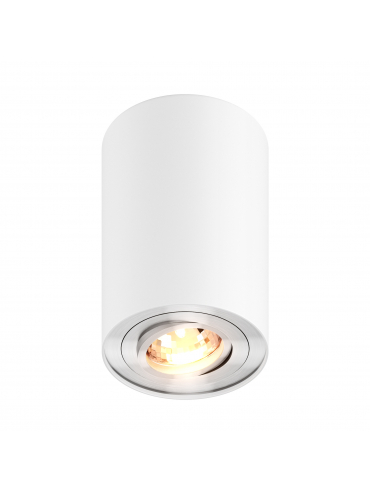 Spot ACTION H-45519